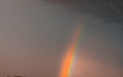 Finding Peace in the Storm: Anxiety Relief Through Faith